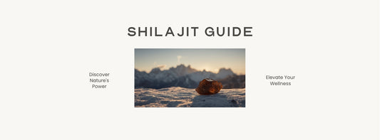 Shilajit Guide blog banner