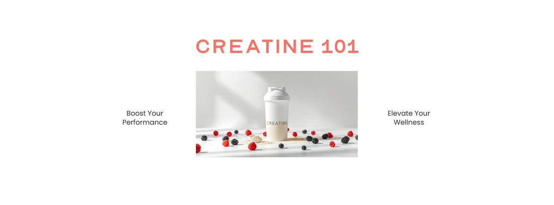 Creatine 101 blog banner