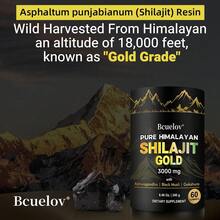Shilajit Ingredients