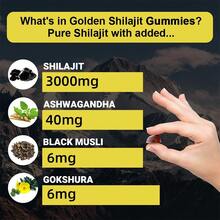Shilajit Details