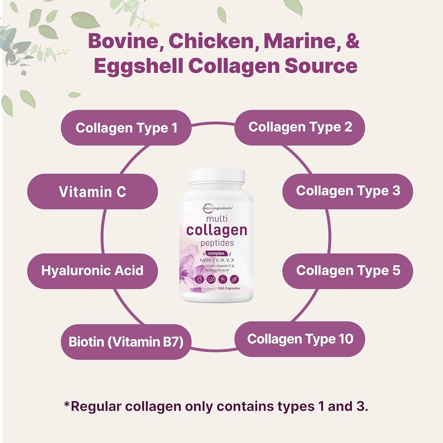MicroIngredients Multi Collagen Pills – 5 Types Complex (I, II, III, V & X) with Biotin, Hyaluronic Acid & Vitamin C | Keto & Paleo Friendly | Hair, Skin, Nails & Joint Support | 240 Capsules