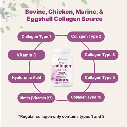 MicroIngredients Multi Collagen Pills – 5 Types Complex (I, II, III, V & X) with Biotin, Hyaluronic Acid & Vitamin C | Keto & Paleo Friendly | Hair, Skin, Nails & Joint Support | 240 Capsules