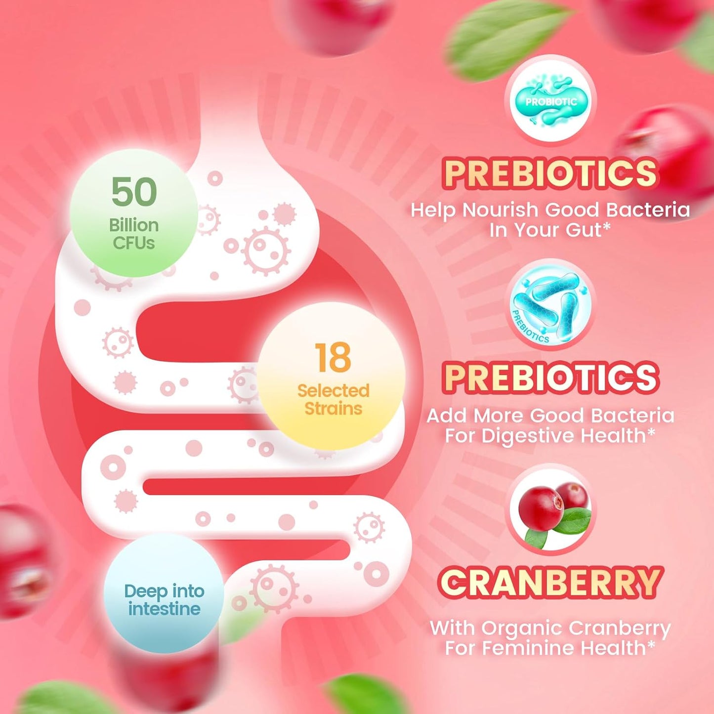 Cranberry Supplement – Concentrated Whole-Fruit Cranberry for Urinary Tract & Bladder Health | Sugar-Free, Antioxidant-Rich Daily Support for Women