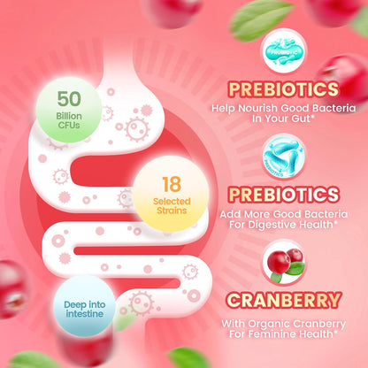 Cranberry Supplement – Concentrated Whole-Fruit Cranberry for Urinary Tract & Bladder Health | Sugar-Free, Antioxidant-Rich Daily Support for Women