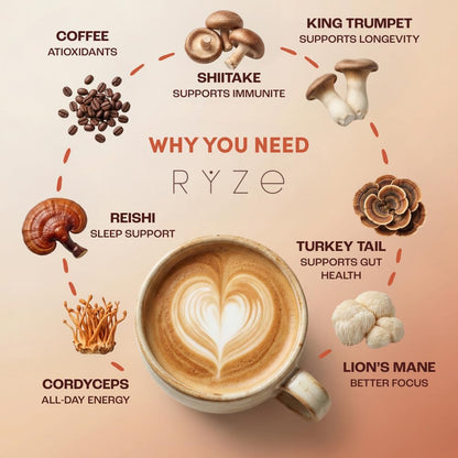Mushroom Coffee with Lion's Mane & 6 Adaptogens – USDA Organic Instant Coffee for Focus, Smooth Energy, Digestion & Immune Support | Less Acidic, Jitter-Free