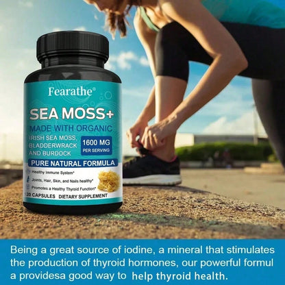 Irish Sea Moss Capsules with Fucus & Burdock – 120 Count – Thyroid Support, Joint Health & Hair, Skin & Nails Supplement