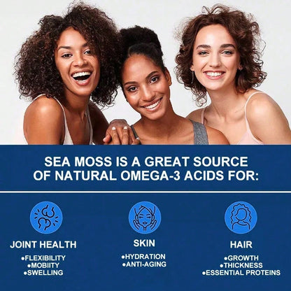 Irish Sea Moss Capsules with Fucus & Burdock – 120 Count – Thyroid Support, Joint Health & Hair, Skin & Nails Supplement