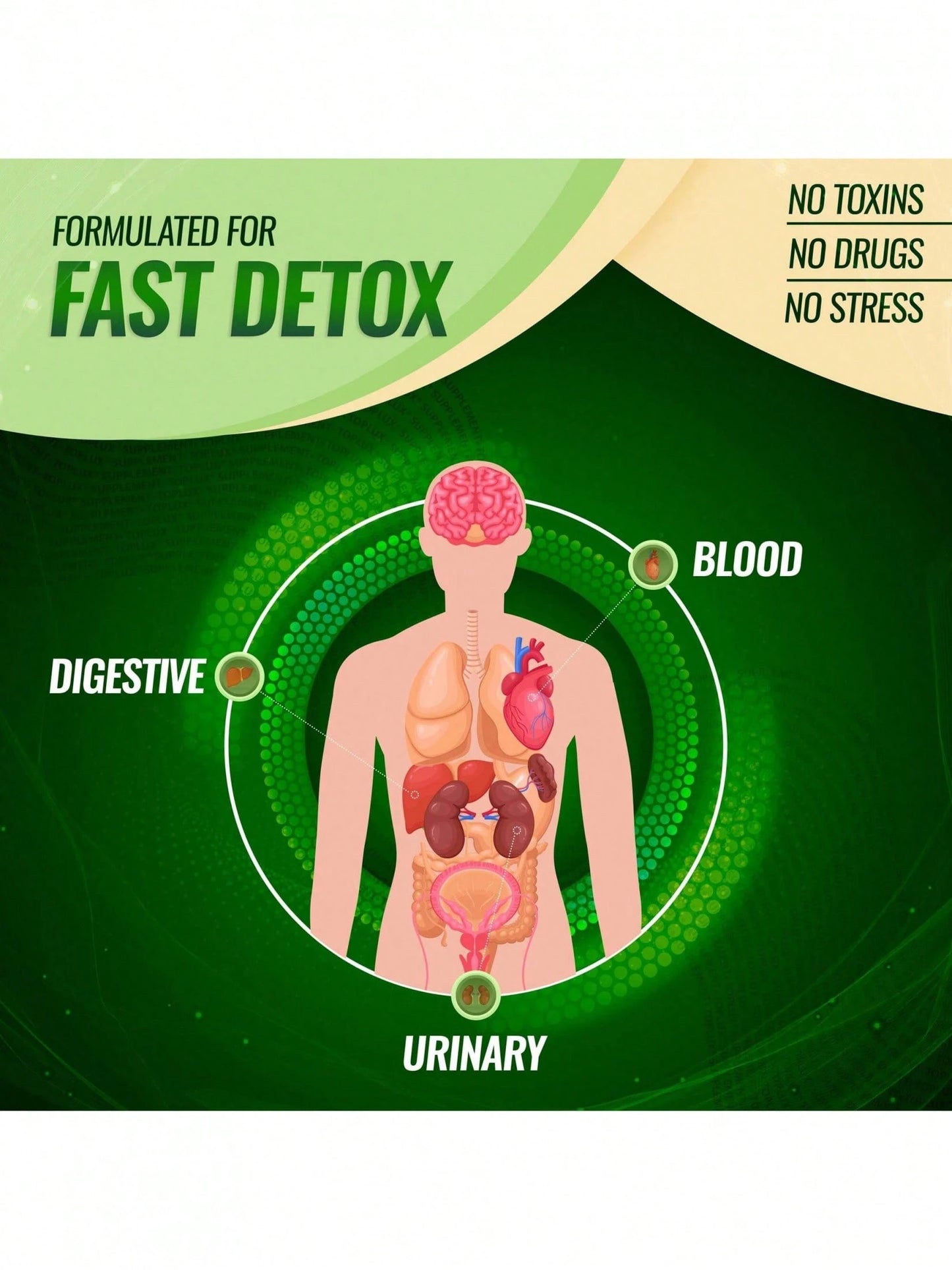 Liver Cleanse & Detox Capsules – Milk Thistle, Artichoke & Dandelion Root 25+ Herb Blend | InnerVital
